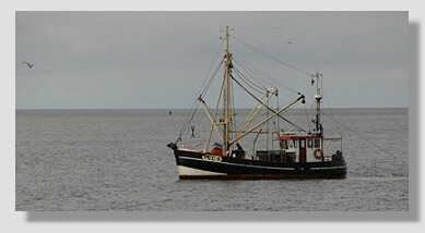 Schiff