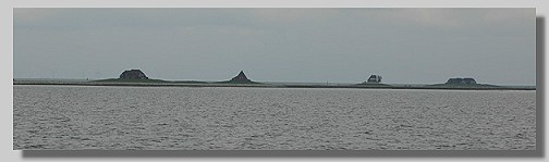 Meer