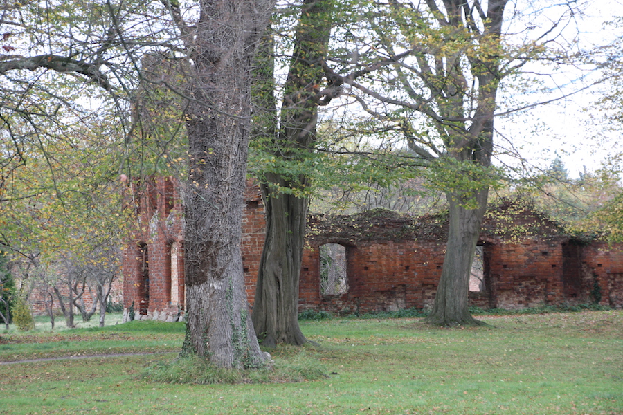 Das Wirtschaftgebäude von 1290 ist nur noch als Ruine erhalten.