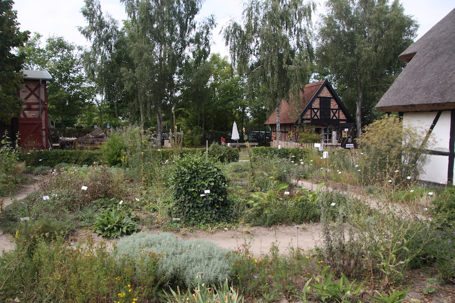 Freilichmuseum Klockenhagen - ein Kräutergarten