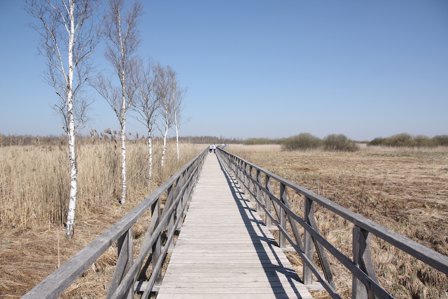 Auf dem Holzweg ist es manchmal richtig still