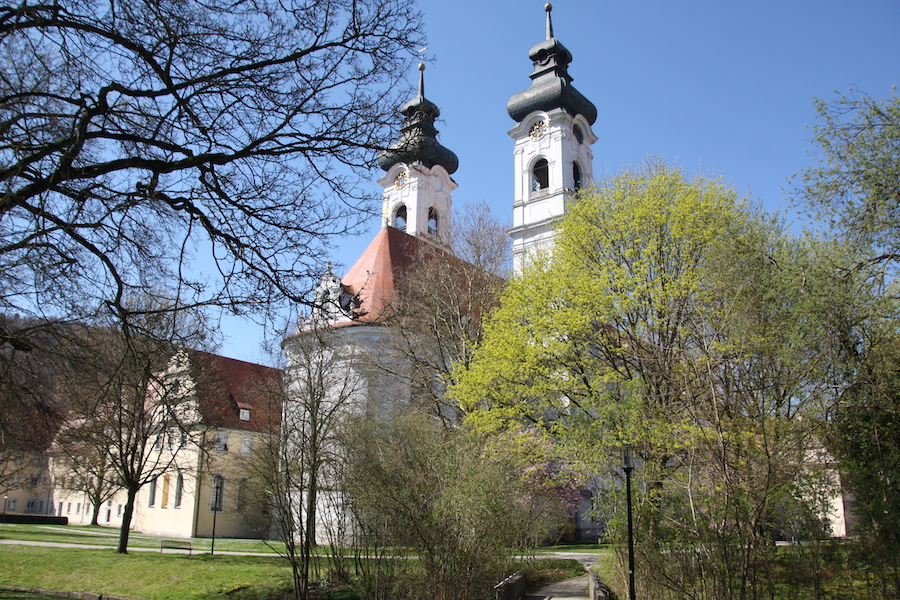 Das Zwiefalter Münster vom Klostergarten