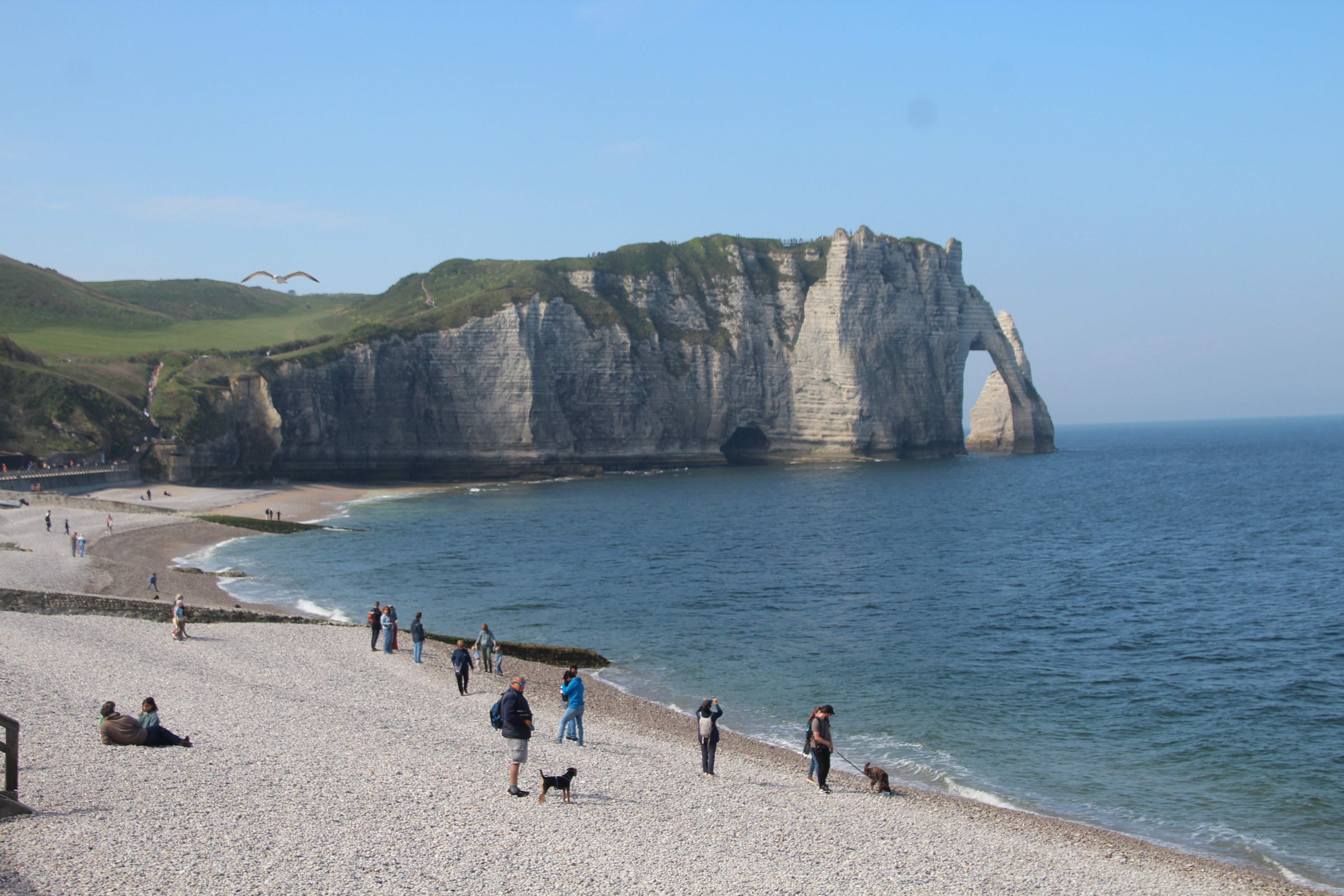 Die westlichen Klippen von Étretat am Mittag.
