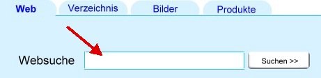 Beispieleingabemaske einer Suchmaschine