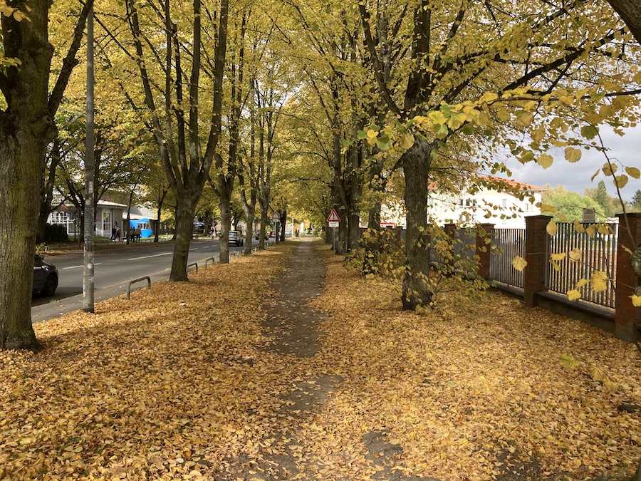 Tschaikwskystraße in Rostock, am Marinekommando.