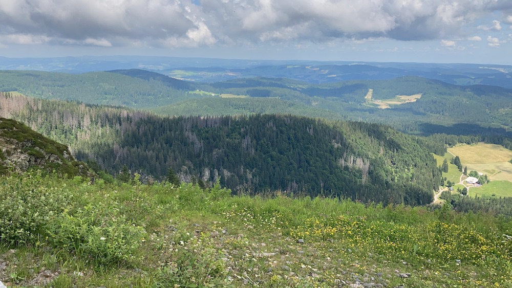 Ein Muß ist der Besuch des Feldbergs, von wo man aus -zig Kilometer weit sehen kann, wenn es klare Sicht gibt.