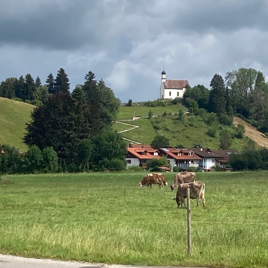 Bayerniederhofen mit Häusern, Kühen, Hügeln und Kirche