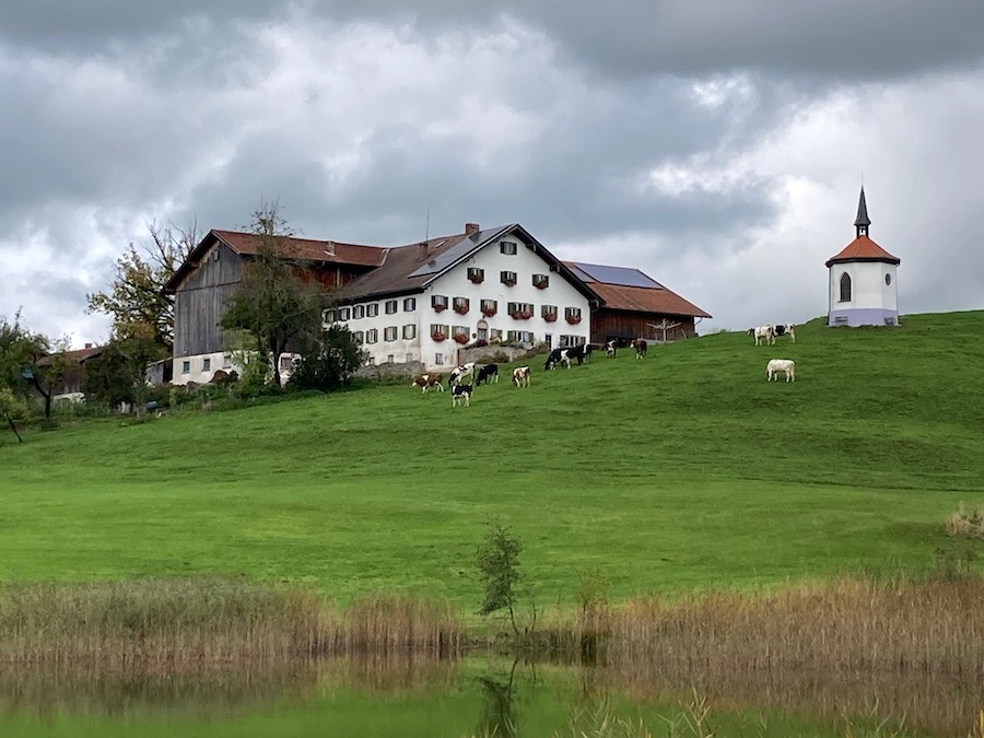 Dieser Hof am Hegratsrieder See ist Allgäu pur: Hügel, Hof, Wiesen, Milchkühe und Kirche