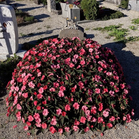 Grab von Franz und Maria Marc in Kochel