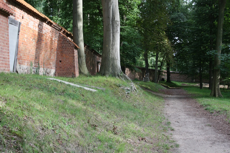 Ein kleiner Teil der Doberaner Klostermauer