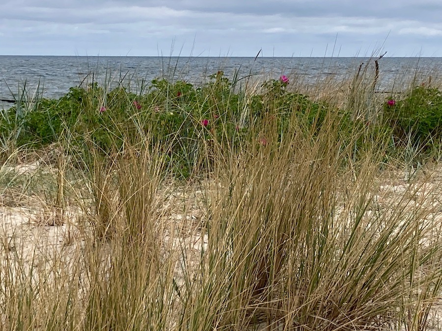 Strand bei Lüttenort - am besten mit dem Fahrrad erreichbar