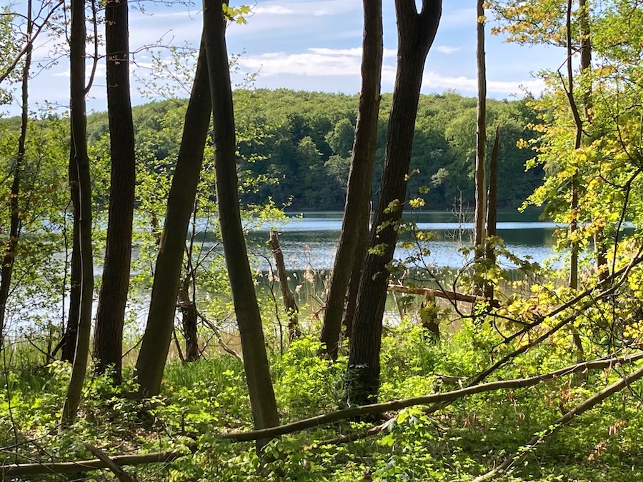 Der Wolgastsee an der B110