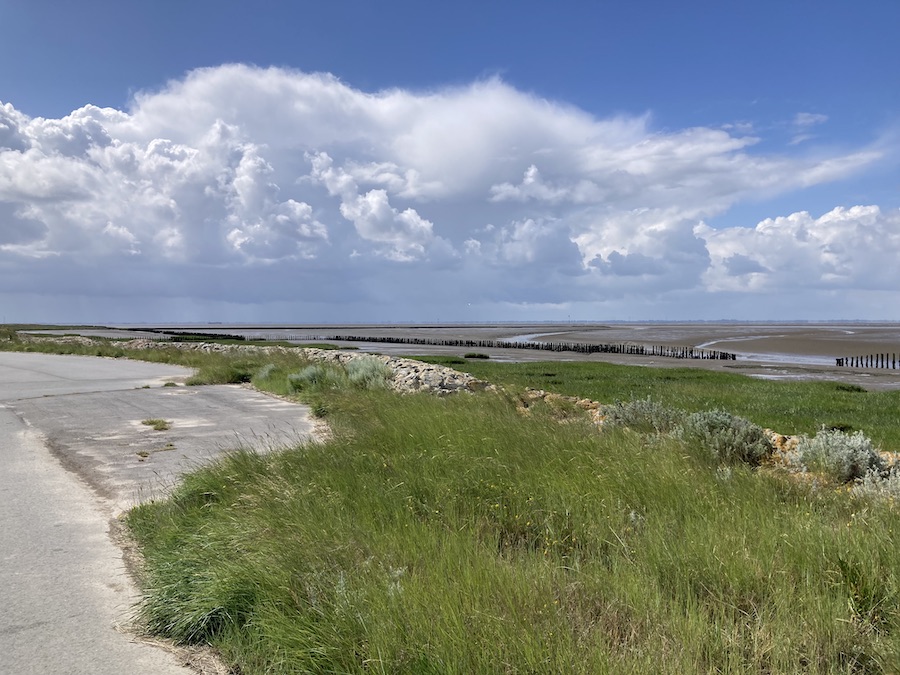 Das Wattenmeer als Wetterküche