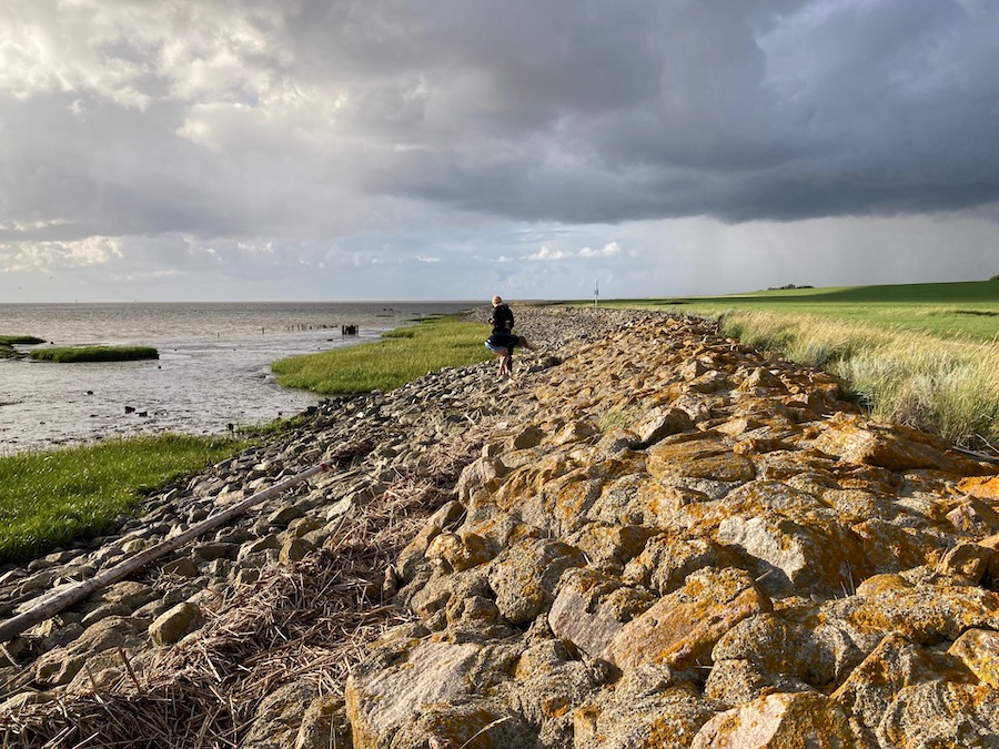Naturküste am Misselwardener Niederstrich