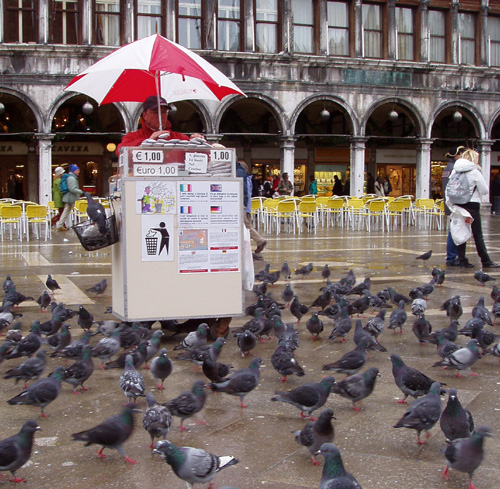 Heute längst verboten, 2006 noch geduldet: Taubenfutter verfüttern