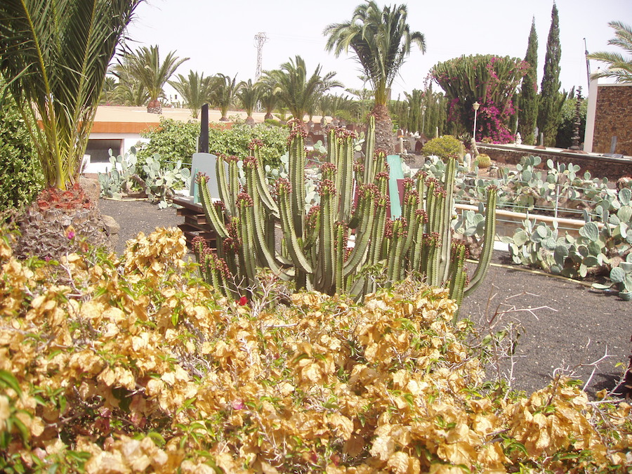 Garten in Antigua